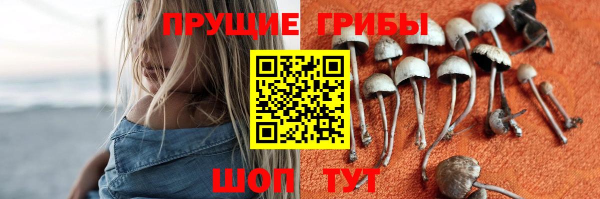 Галлюциногенные грибы прущие грибы Приморско-Ахтарск