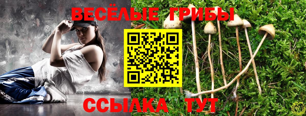 Галлюциногенные грибы GOLDEN TEACHER  Псилоцибиновые грибы ЛСД  Приморско-Ахтарск  Вход с VPN 